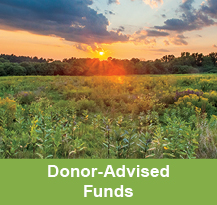 Photo of a sunset. Links to Donor-Advised Funds Photo of a sunset. Links to Donor-Advised Funds