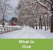 Photo of a snowy day. What to Give Rollover Photo of a snowy day. What to Give Rollover