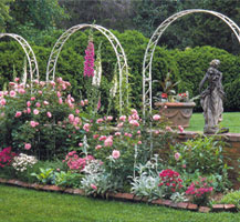 A garden. Link to Jacqueline Rousseau story